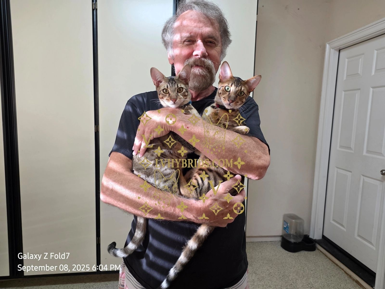 Dave holding Gizmo and Cheeto, his two grown SBT Savannah brothers from LVHYBRIDS